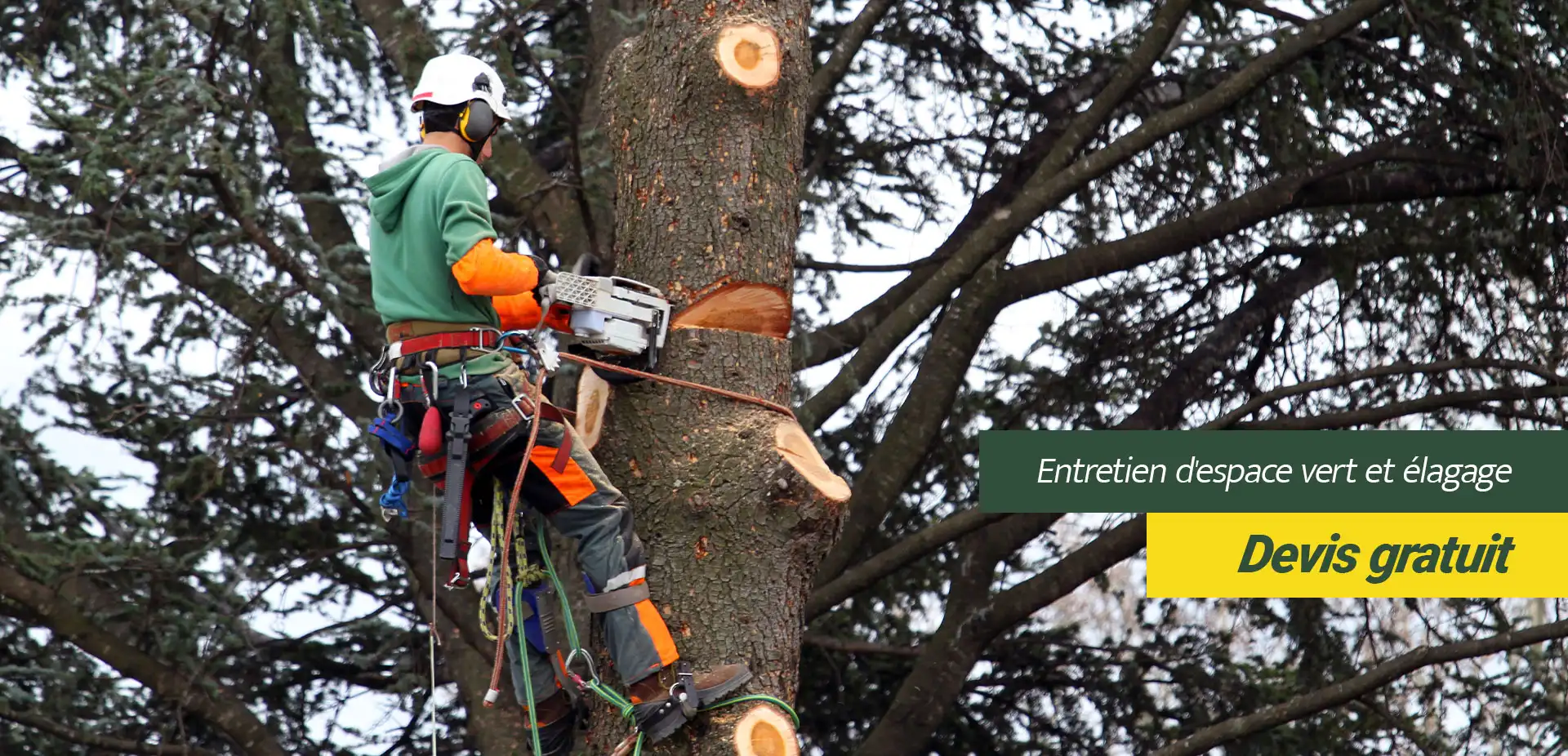Entretien d'espaces verts et élagage à Sarreguemines