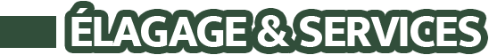 logo_header